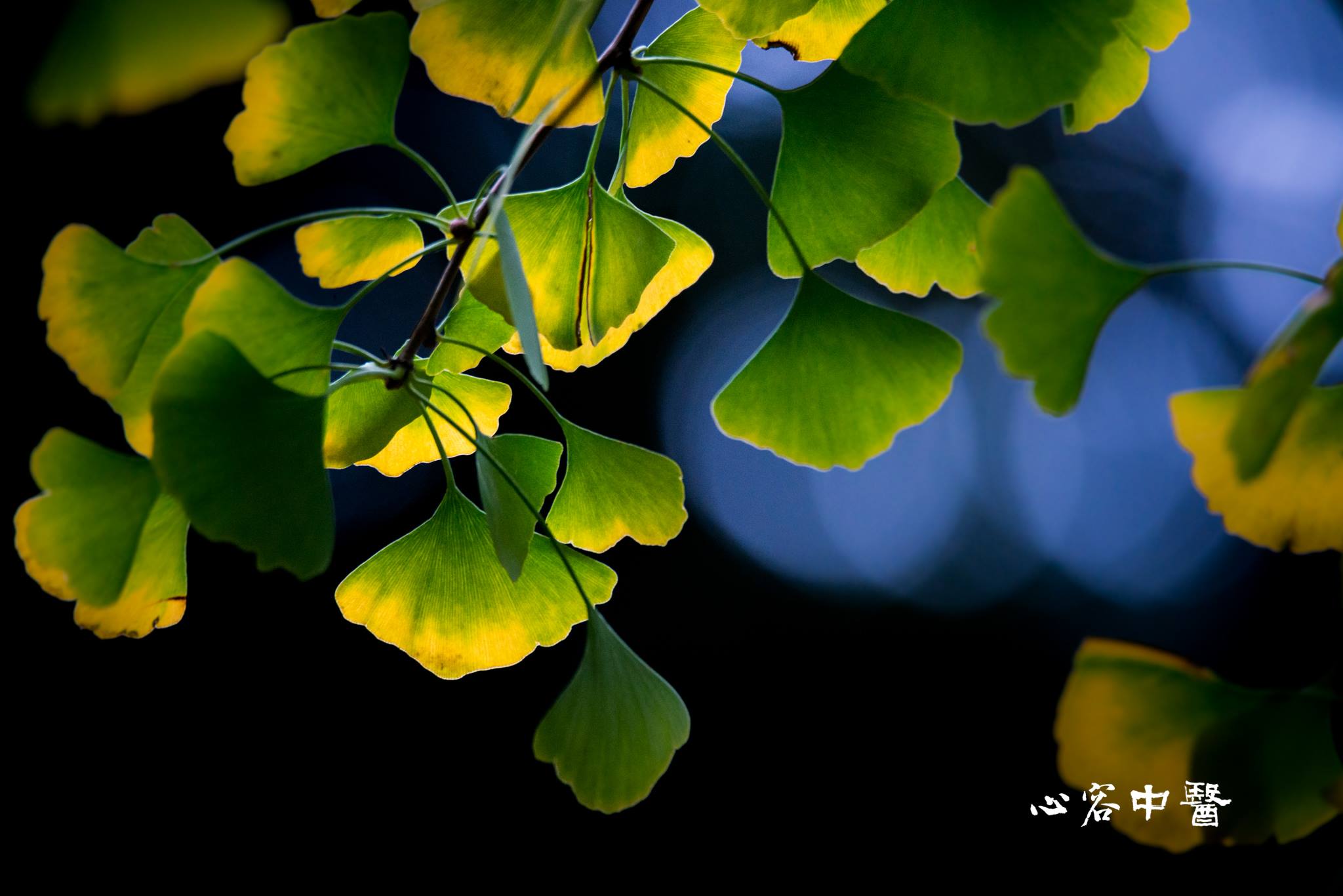 兩組截然不同的求好孕夫妻 (2018.03.21 診間速寫)