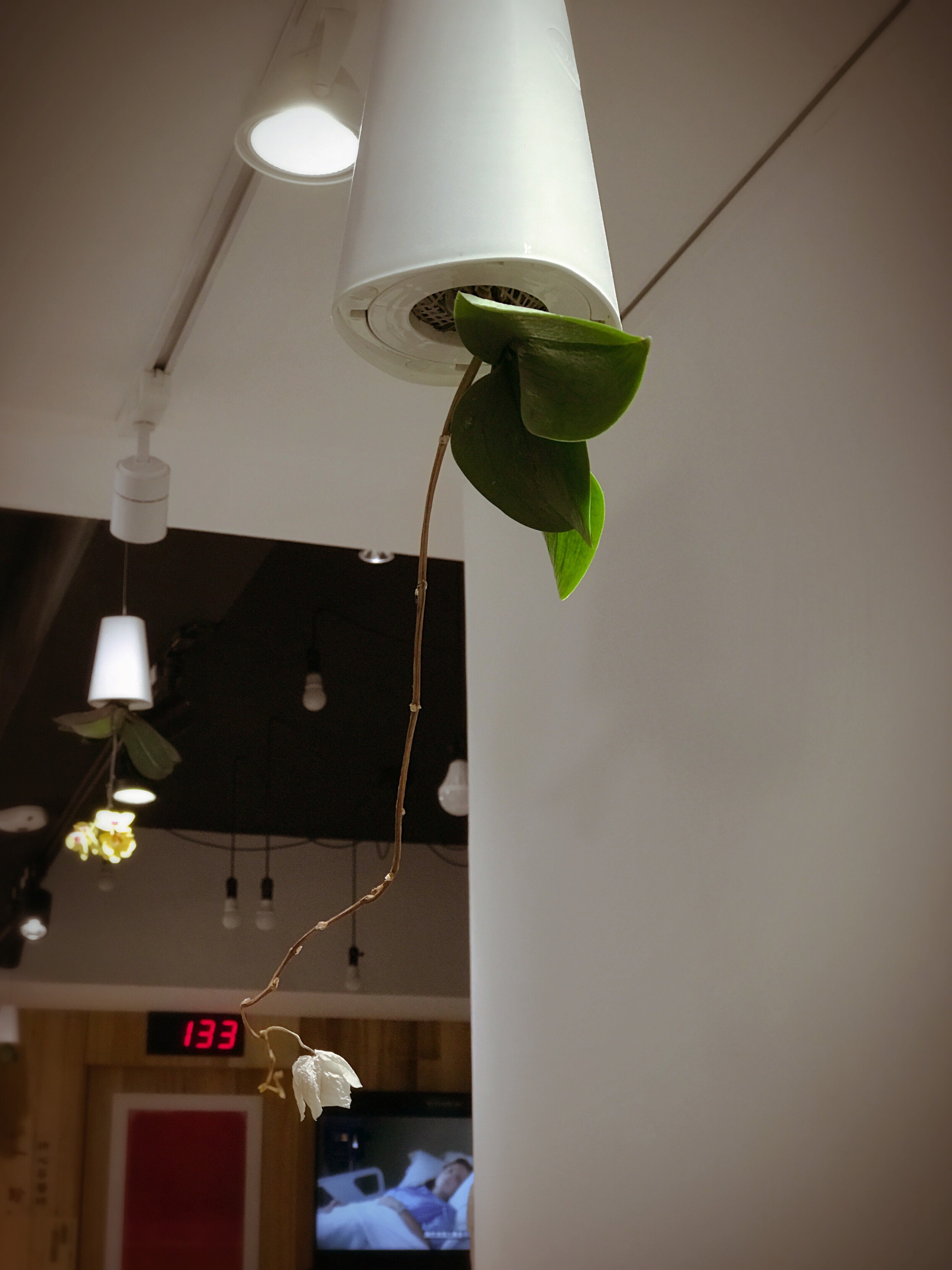 2018.05.16 診間速寫