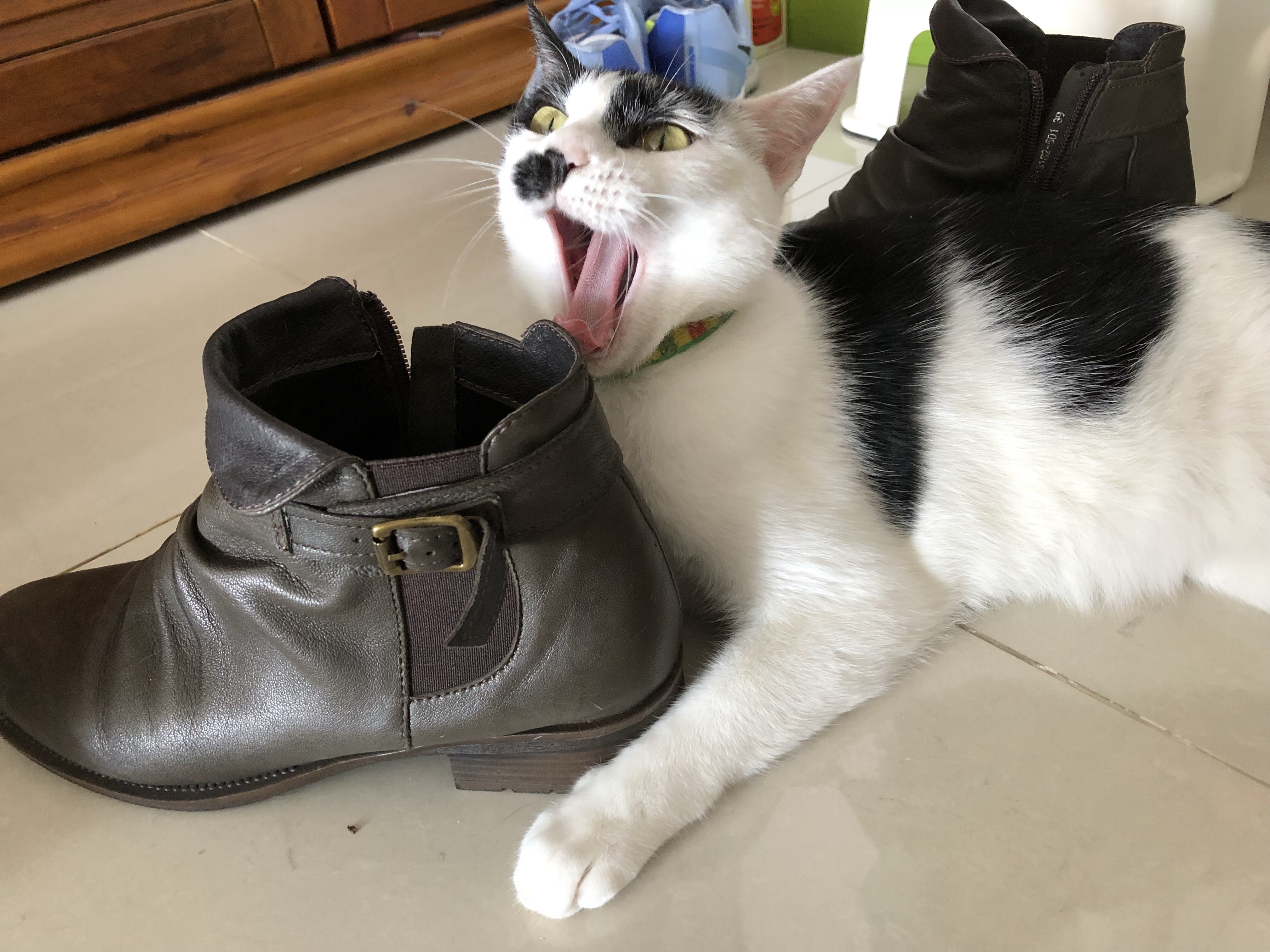 2018.05.17 診間速寫