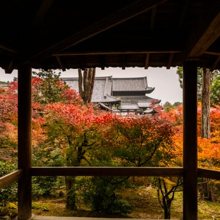 〖 晤語誤語・物語 – 001 〗不愛中醫的畢業粉絲
