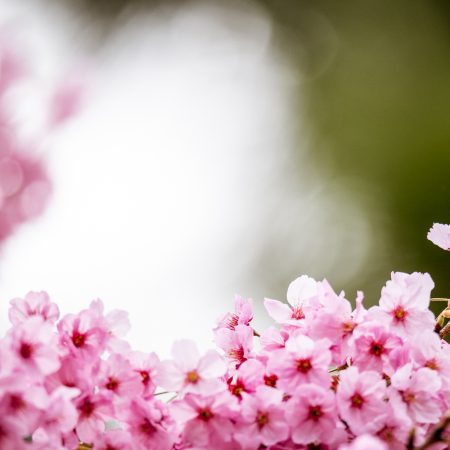 2019.04.23 診間速寫 (準備大考的考生患者)