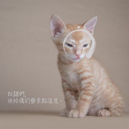 2019.05.05 診間速寫 (愛，就是最好的抗體與解藥)