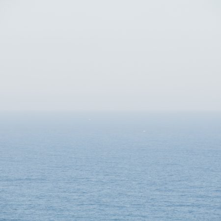 2019.09.04 診間速寫 (企圖狂嗑柚子的瘋狂孕吐便秘人妻)