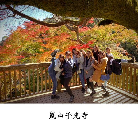 🏃🏼♀️ 高階助理 (37,000起薪)