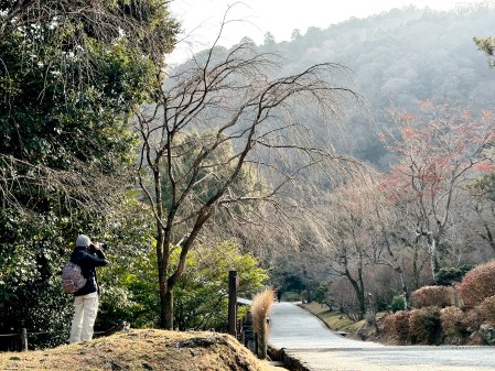 「美得像一幅畫」的謬誤