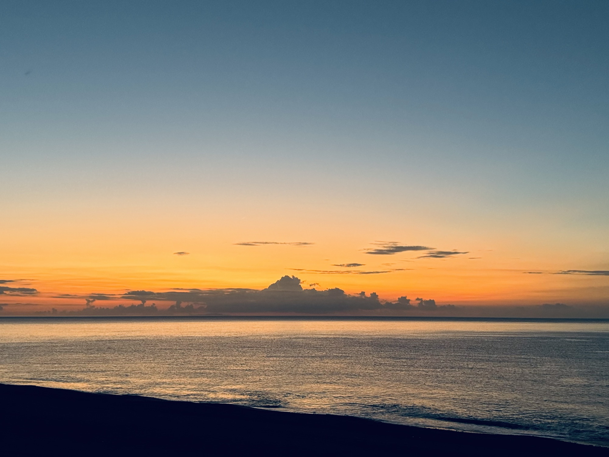 處方針灸與場域安全聲明